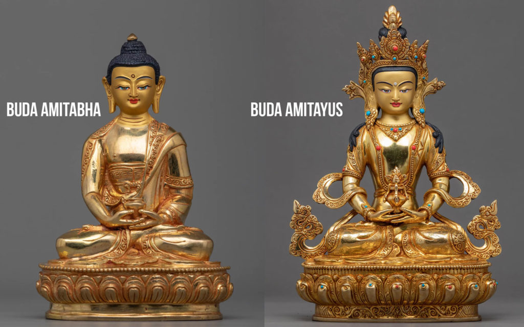  Diferencias entre Buda Amitabha y Amitayus
